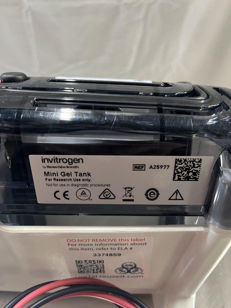 Invitrogen A25977 Mini Gel Tank Electrophoresis Lab Equipment - Good Condition