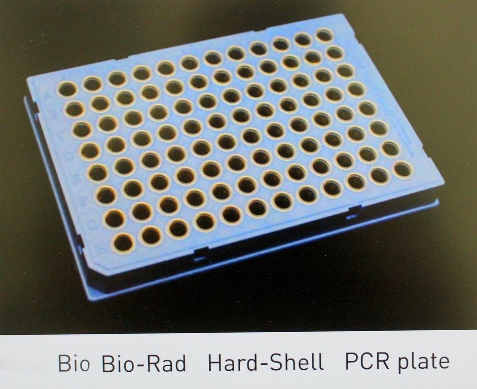 ABI 902457 Genechip HT WT Kit Molecular Biology Consumable Set of 2 Cases