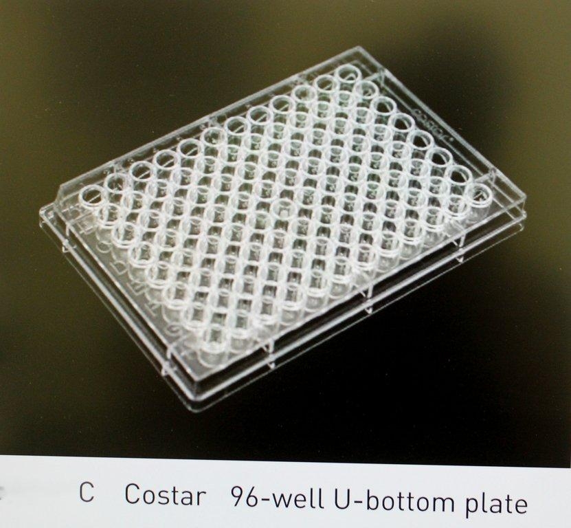 ABI 902457 Genechip HT WT Kit Molecular Biology Consumable Set of 2 Cases