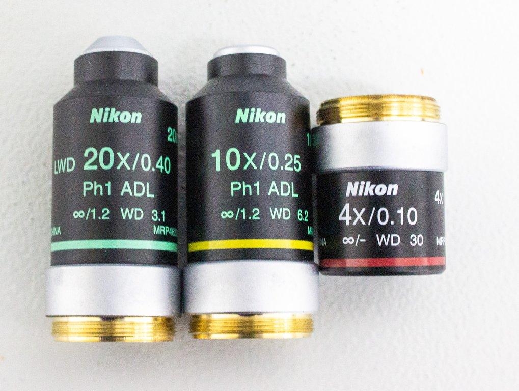 Nikon Eclipse TS2 Microscope LED Epi-fluorescence VG Condition 19in Height