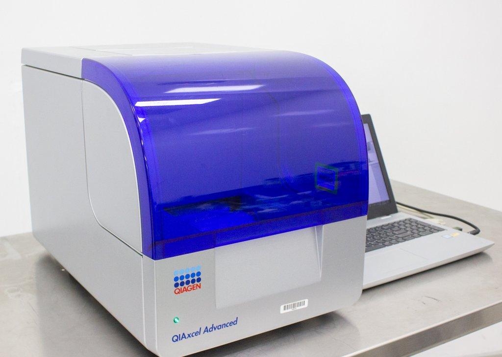 Qiagen QIAxcel Advanced Electrophoresis System DNA RNA Protein Unattended 96 Sample