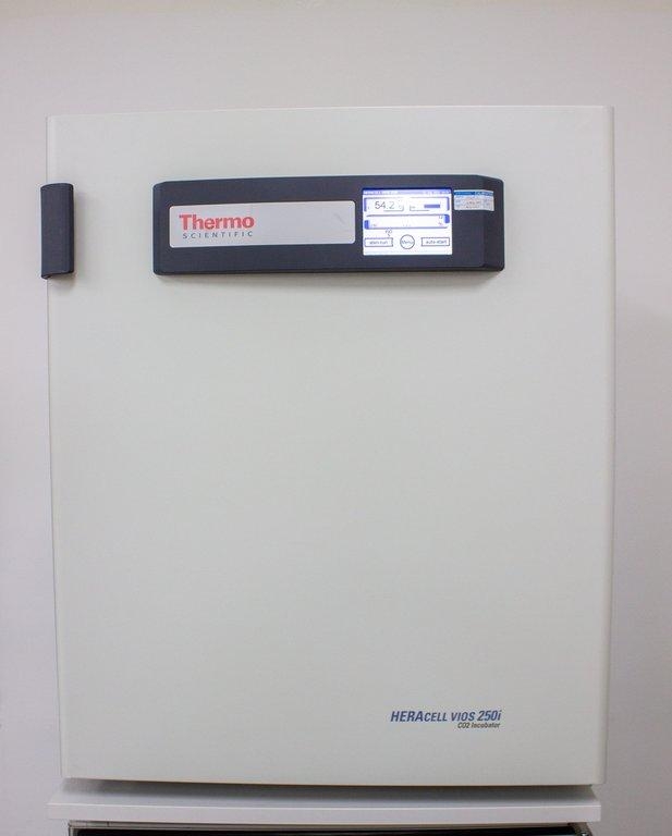 Thermo HERAcell Vios 250i CO2 Incubator 255L Stainless Steel, iCAN Control
