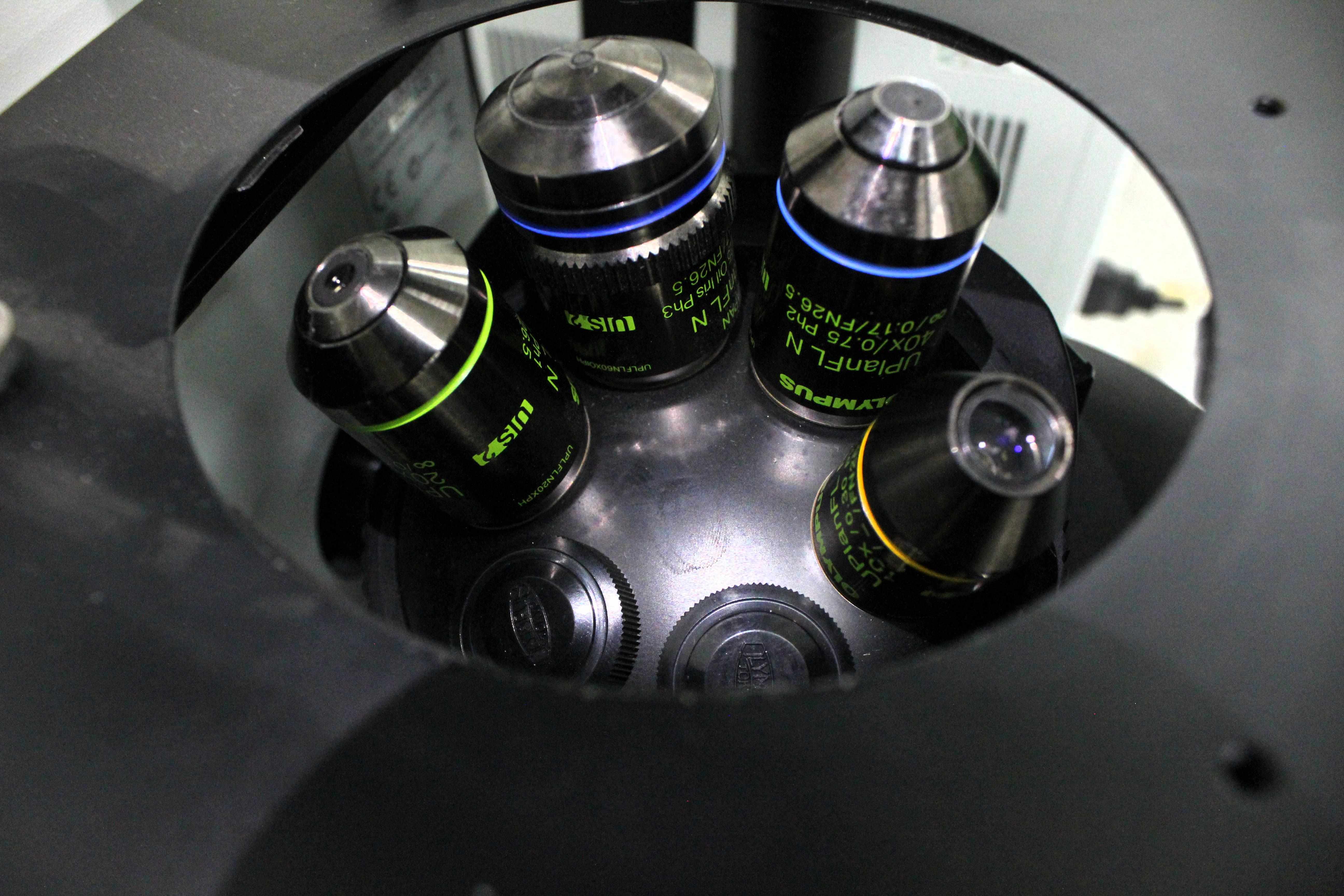 Olympus 1X71 Inverted Microscope RC Contrast,Binocular,Refurbished