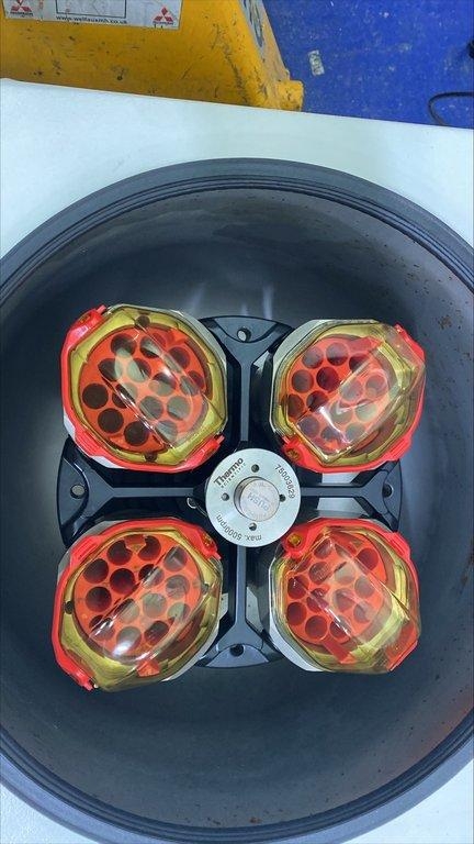 Thermo Sorvall ST 16R Centrifuge 1.6L Capacity Used Spacious Operation