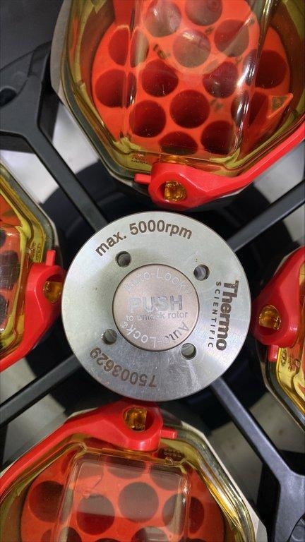 Thermo Sorvall ST 16R Centrifuge 1.6L Capacity Used Spacious Operation