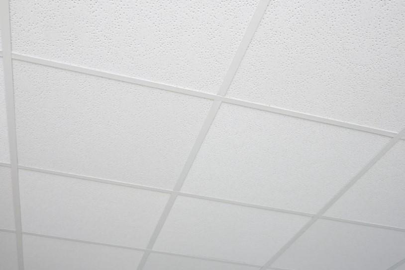 USG Ceilings Clean Room 100 Acoustical Panels Sound Absorption Firecode
