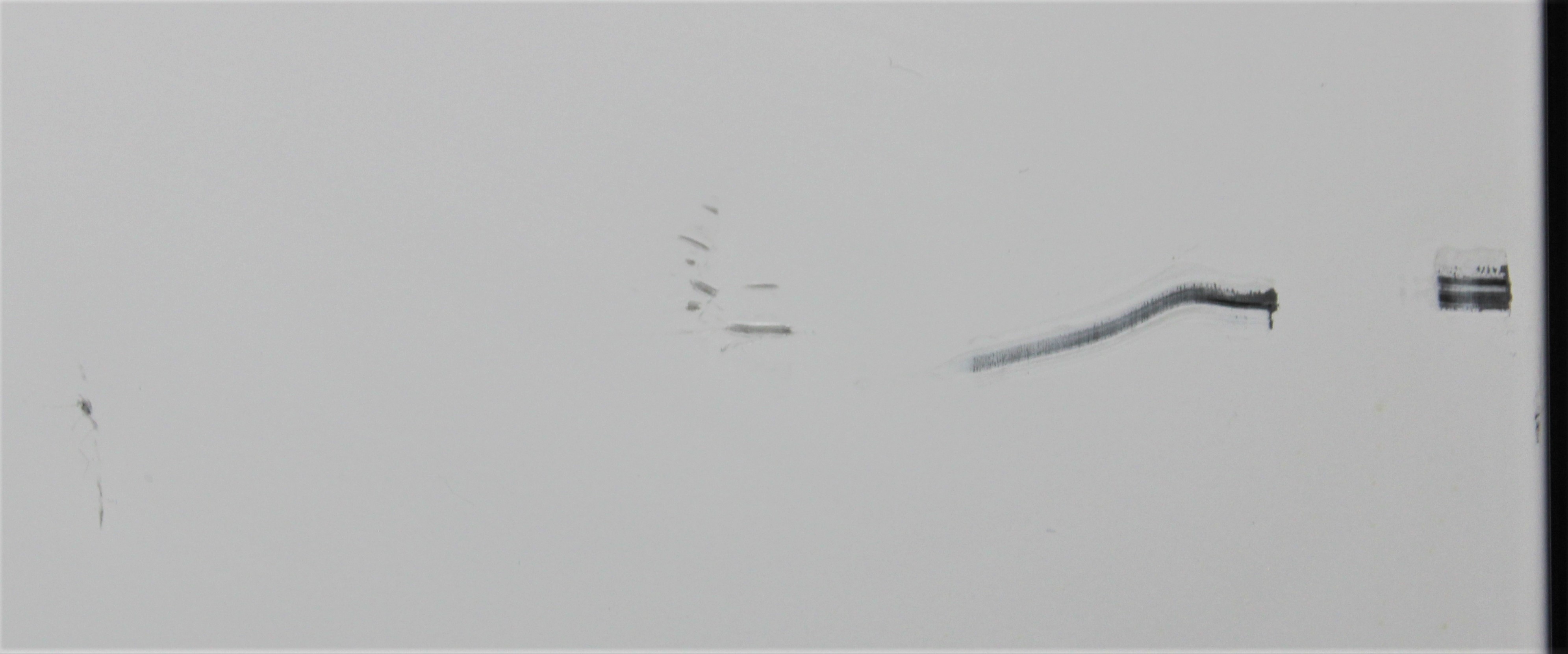 NORLAKE NSFR241WMW/0M Refrigerator Cold Storage 24 cu ft Capacity 35.6-50F