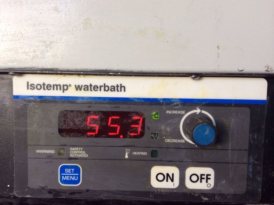 Fisher Isotemp Water Bath 5L with Digital Temp Display Fair Used Condition