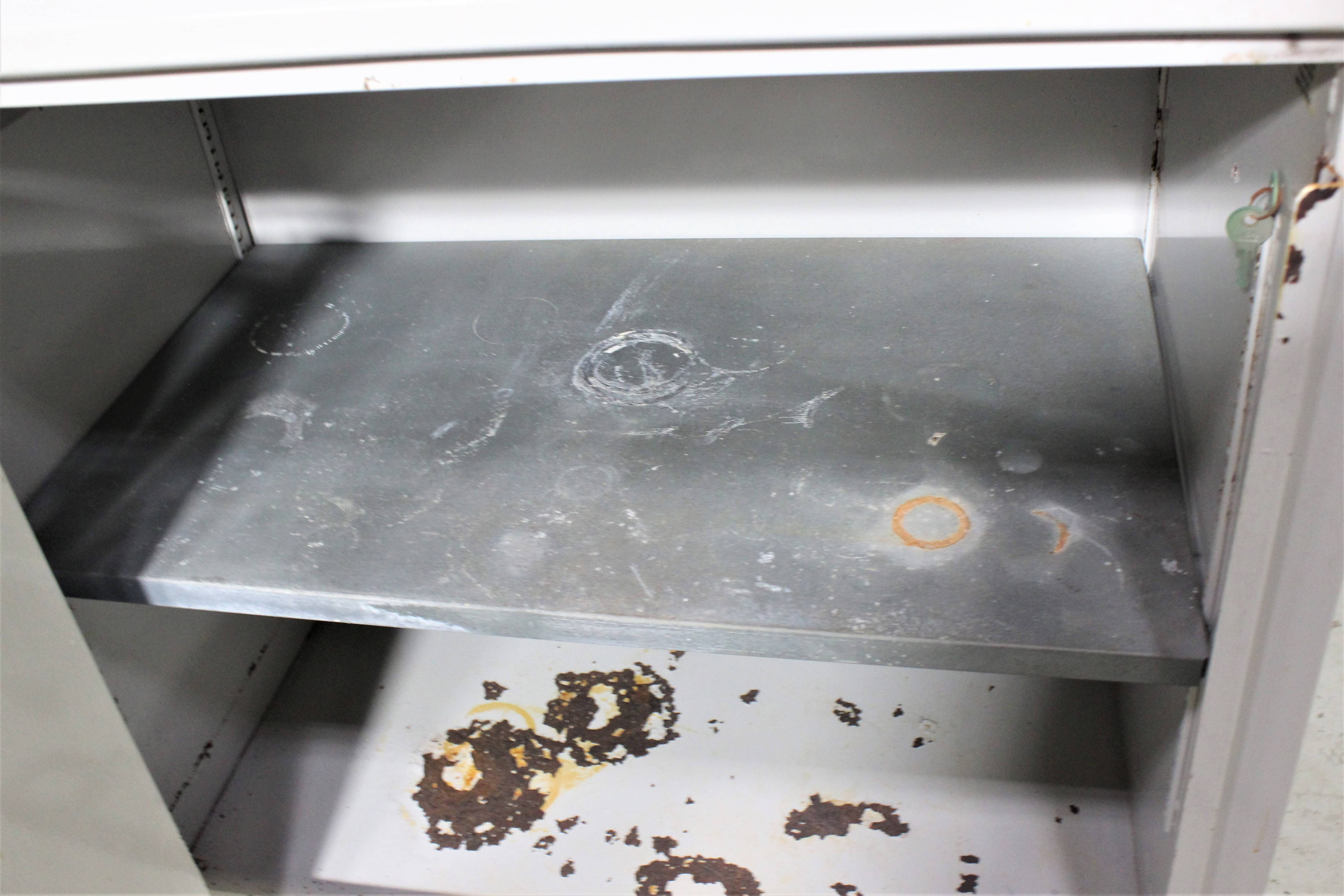 Securall A131 Storage Safety Cabinet 30 Gallon OSHA NFPA Compliant Used