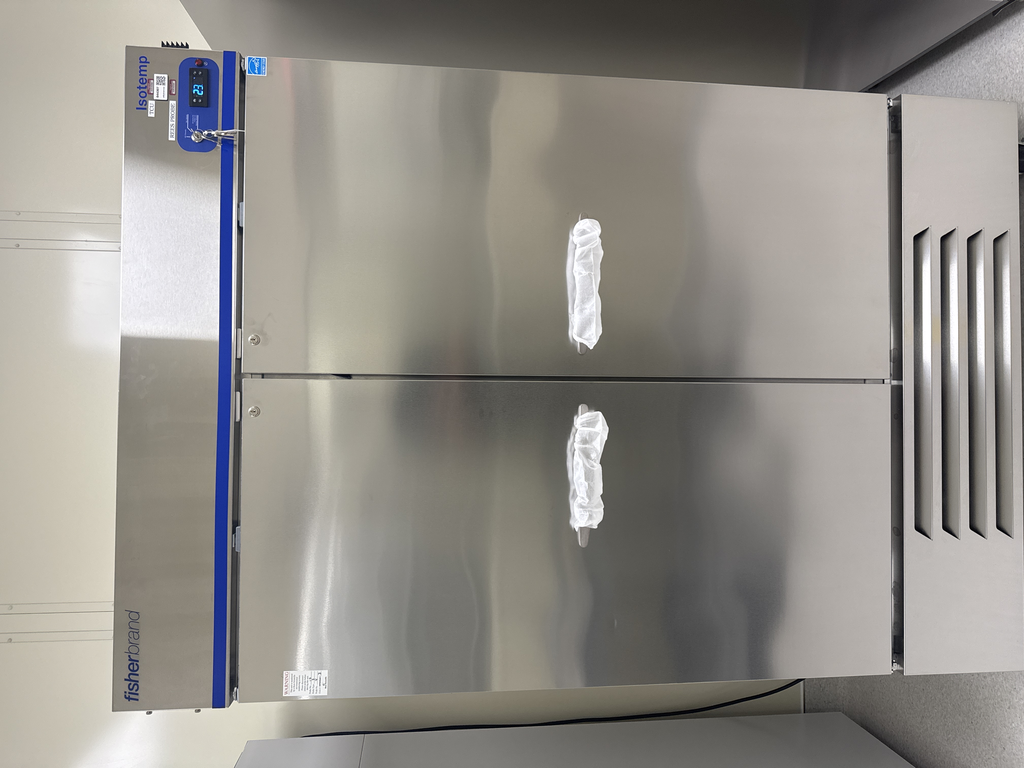 Fisherbrand GTFBG49FSSA Double Door Freezer, Cold Storage, Near New, 2023 Model