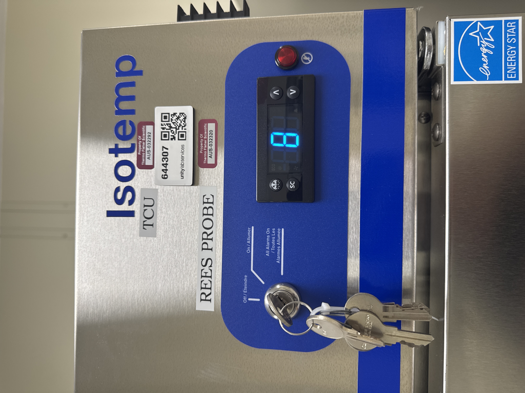 Fisherbrand GTFBG49FSSA Double Door Freezer, Cold Storage, Near New, 2023 Model