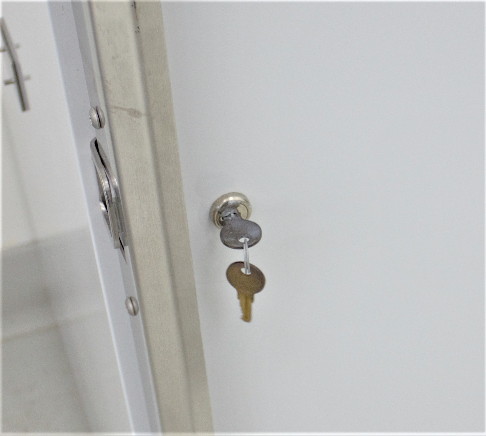 Nor-Lake NSFF241WMW Freezer LP -25C Storage Clinical Lab Use 24 Cu Ft