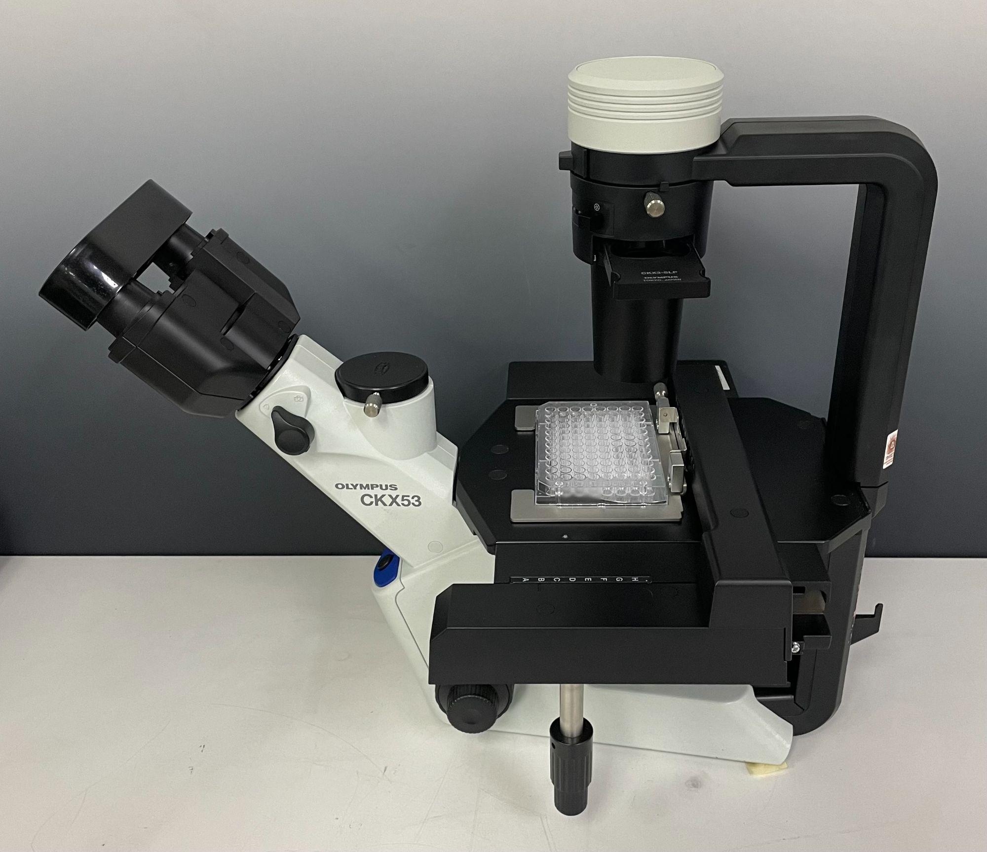 Olympus Inverted Phase Contrast Microscope CKX53