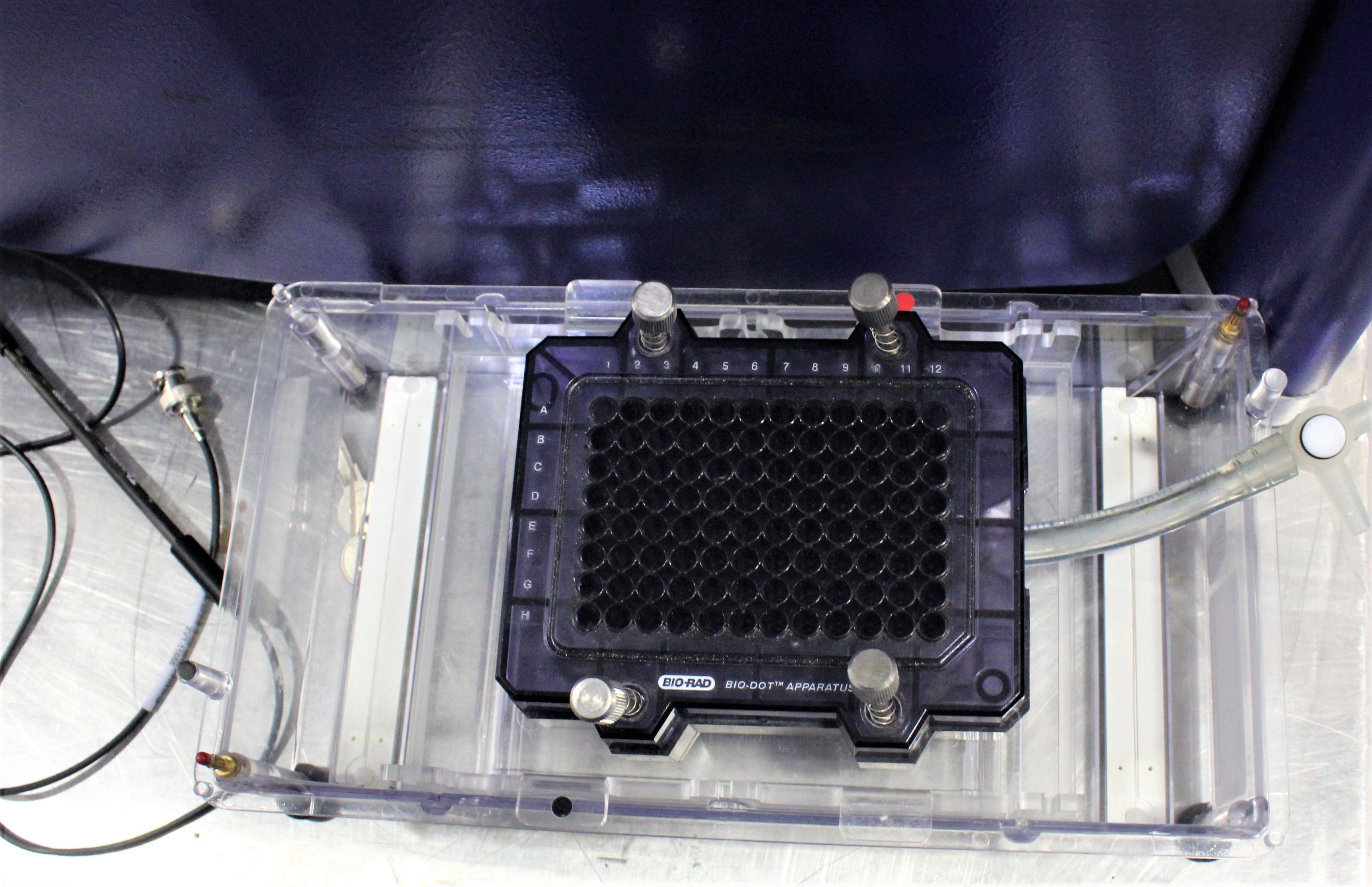 Shimadzu Xcise Protein Analyzer Mass Spectrometer, 384 Sample Capacity, 120V