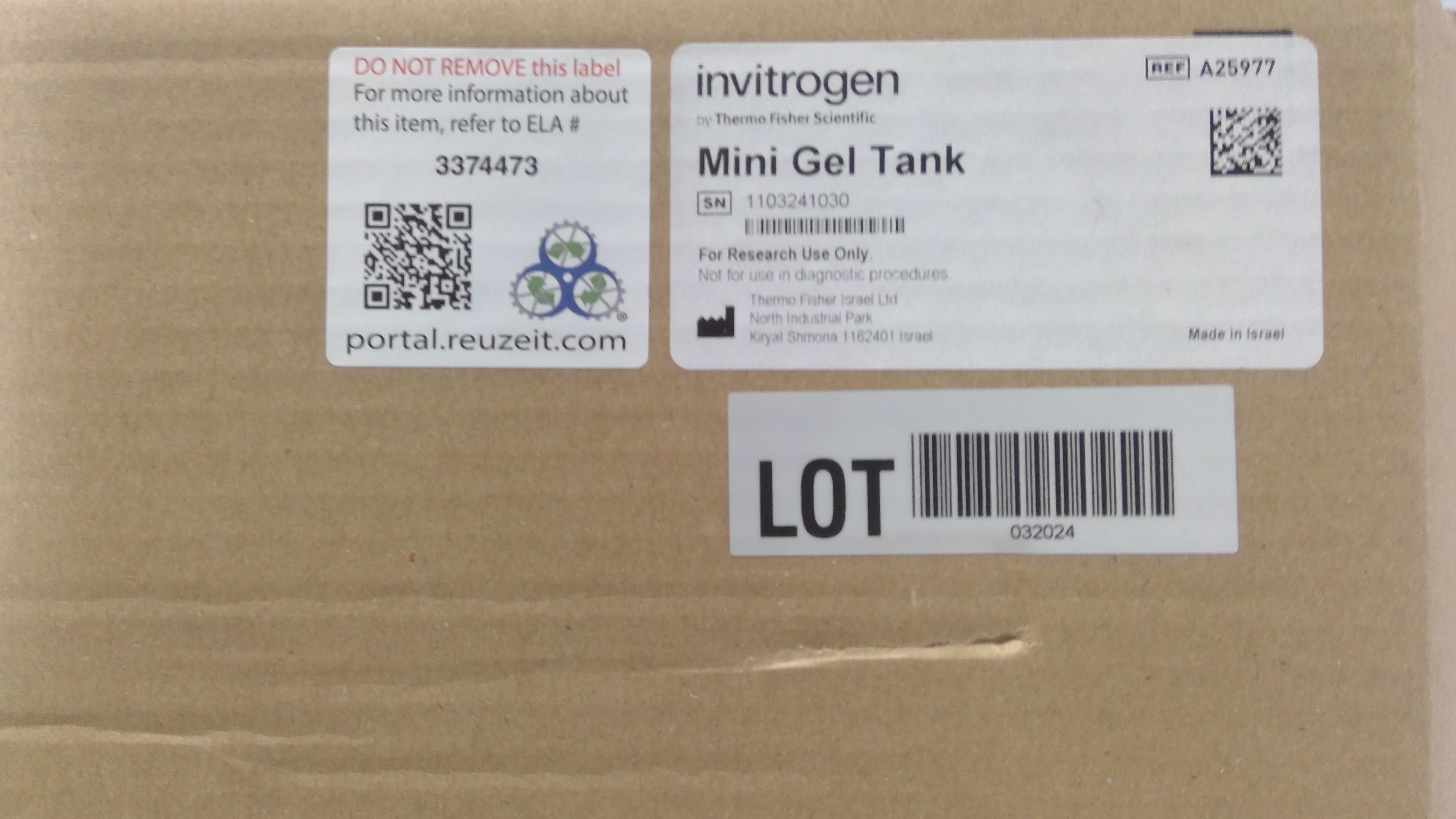 Invitrogen Mini Gel Tank A25977 Vertical Mini-Gel Electrophoresis System