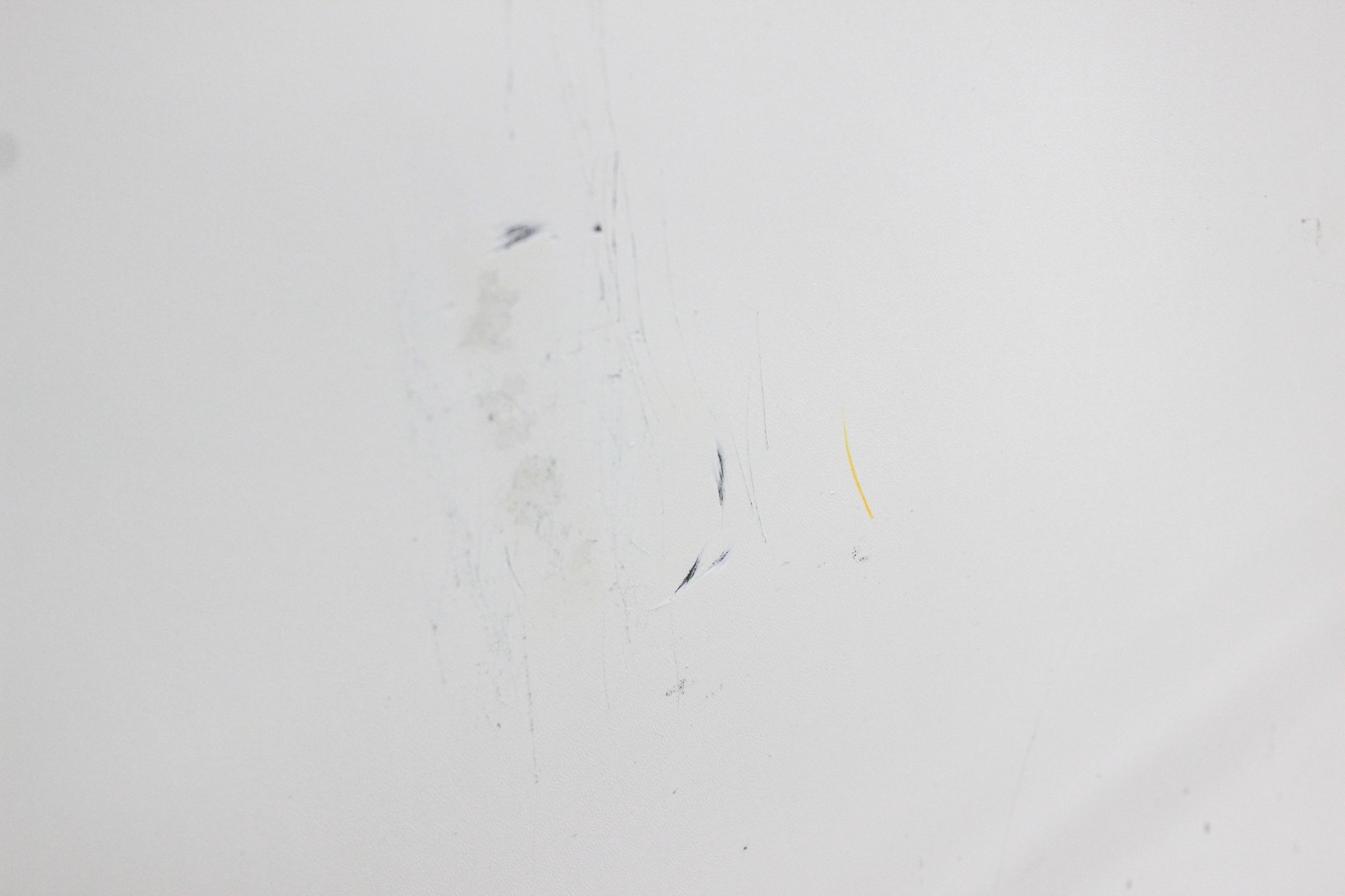 VWR True GDM-49 Refrigerator Dual Glass Door 49 Cu Ft 33F-38F LED Light