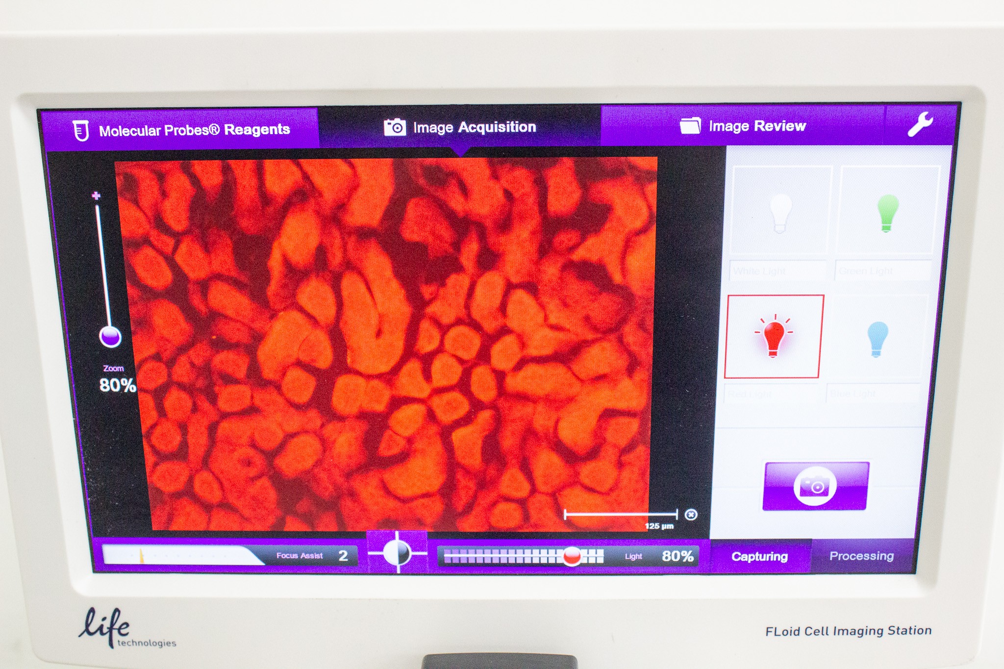 LifeTech FLoid Imager Cell Imaging Station Fluorescent Benchtop User-Friendly